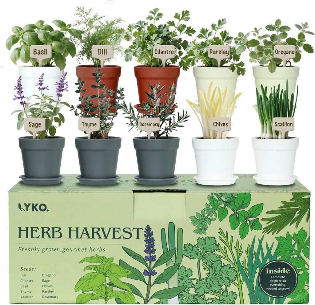 10 Indoor Herb Garden Kit, 33pcs Complete Set with Pots, Soil & Tools - Perfect Gift for Plant Lovers