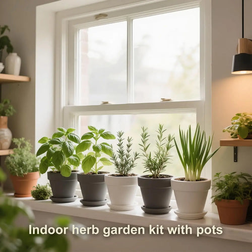 10 Indoor Herb Garden Kit, 33pcs Complete Set with Pots, Soil & Tools - Perfect Gift for Plant Lovers